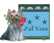 voté chien